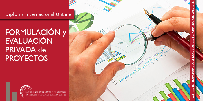 Formulación y evaluación privada de proyectos